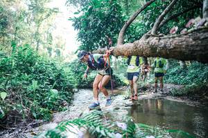 BIB: 
                            <button type="button" onclick="openModal(25441753)" class="btn btn-primary btn-sm float-right btn-popup" data-toggle="modal" data-target=".modal-high-quality">
                        <i class="fas fa-shopping-cart"></i> Add to Cart
                    </button>
                                            <button type="button" onclick="isThisMe(25441753, true)" class="btn btn-success btn-sm float-right btn-popup btn-isme hidden" data-toggle="tooltip" data-placement="bottom" title="นี่คือรูปของคุณใช่ไหม คลิกที่นี่เพื่อเอาเข้าอัลบั้ม">
                        <i class="fas fa-plus"></i> Add to album
                    </button>
                    <button type="button" onclick="isThisMe(25441753, false)" class="btn btn-warning btn-sm float-right btn-popup btn-isnotme hidden">
                        <i class="fas fa-ban"></i> Remove from album
                    </button>